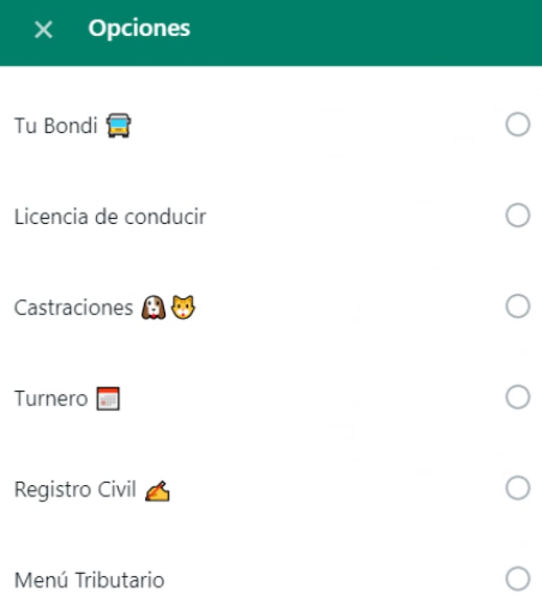 Lanzan un chat de WhatsApp para hacer trámites municipales en Córdoba Capital