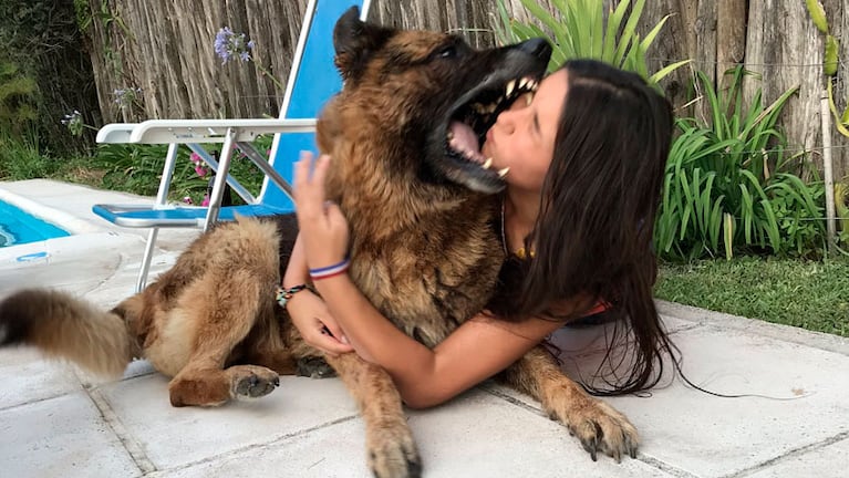 Lara fue mordida por el perro de su amigo. / Foto: Twitter