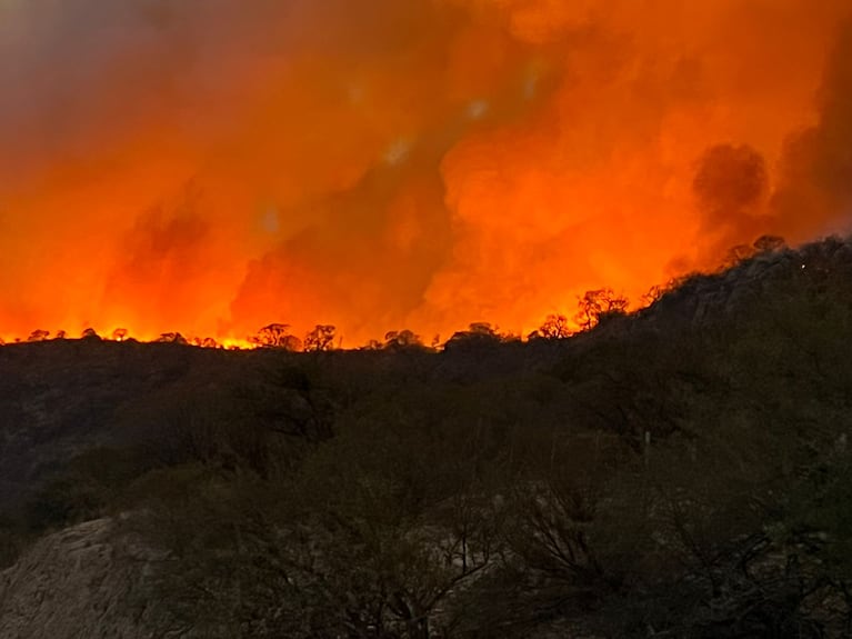 Largas sequías, lluvias torrenciales, incendios descontrolados, olas de calor y aumento del nivel del mar son algunos de los efectos del cambio climático.