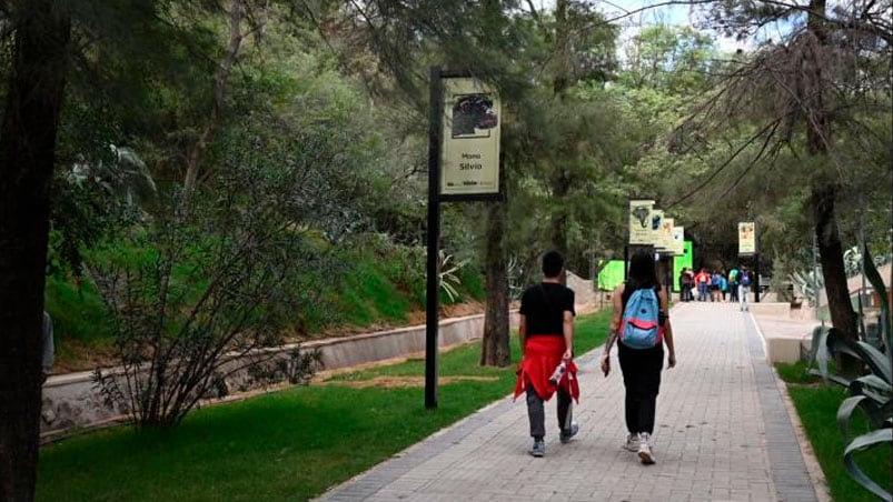 Las actividades gratuitas que se pueden hacer en Córdoba con niños el finde largo