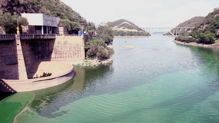 Las algas cubrieron con un manto verde el agua en el Dique San Roque