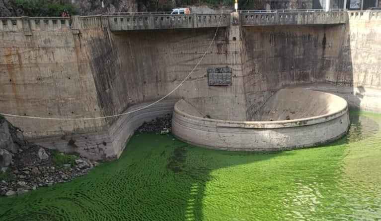 Las algas verdes cubren el Lago San Roque y advierten por las graves consecuencias en la salud.