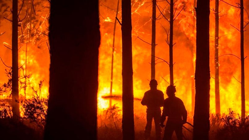 Las altas temperaturas, la sequía, y el fuerte viento, son las principales causas de los numerosos incendios. 