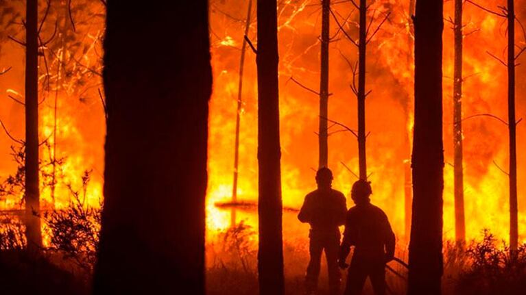 Las altas temperaturas, la sequía, y el fuerte viento, son las principales causas de los numerosos incendios.