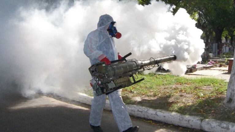 Las autoridades continúan con el esquema de fumigación y descacharreo.