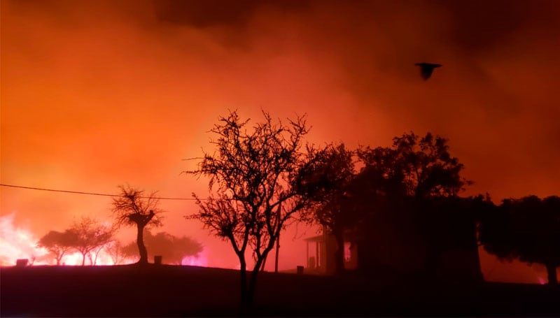 Las autoridades debieron evacuar a varias familias. Foto: Julieta Pelayo / ElDoce.