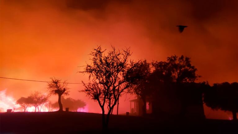 Las autoridades debieron evacuar a varias familias. Foto: Julieta Pelayo / ElDoce.