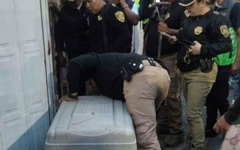Las autoridades mexicanas dieron con la extraña criatura.