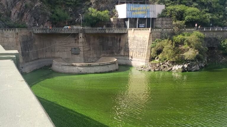 Las cianobacterias, un problema histórico para el lago San Roque.