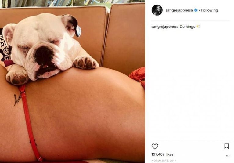 Las coincidencias entre Pampita y la China Suárez en las redes sociales