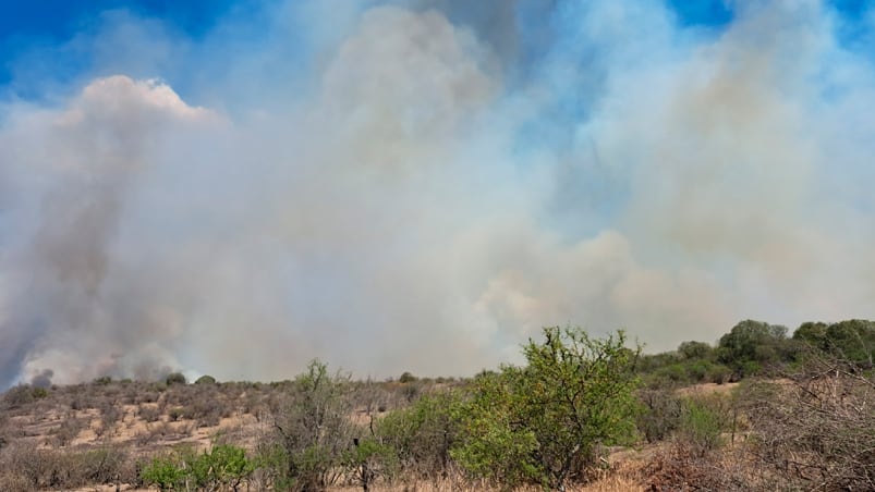 Las condiciones climáticas no permiten controlar el fuego. Foto: Juan Pablo Lavisse / El Doce.