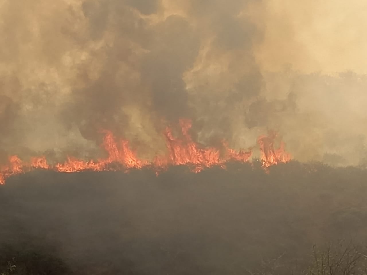 Las condiciones climáticas no permiten controlar el fuego. Foto: Mateo Lago / El Doce.