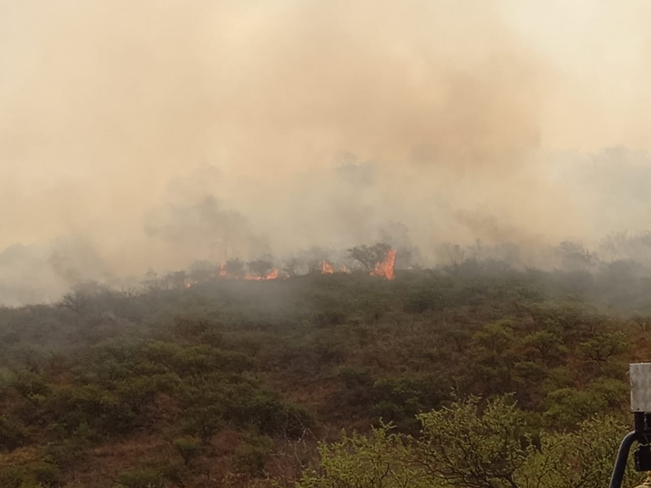 Las condiciones climáticas no permiten controlar el fuego. Foto: Mateo Lago / El Doce.