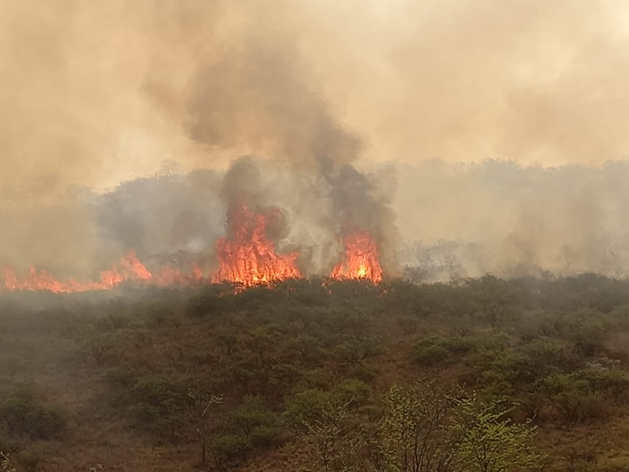 Las condiciones climáticas no permiten controlar el fuego. Foto: Mateo Lago / El Doce.