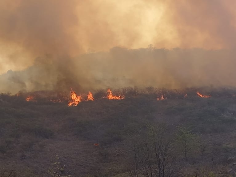 Las condiciones climáticas no permiten controlar el fuego. Foto: Mateo Lago / El Doce.