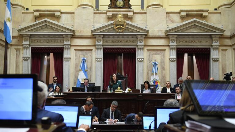 Las dietas de los senadores permanecerán sin cambios hasta diciembre.