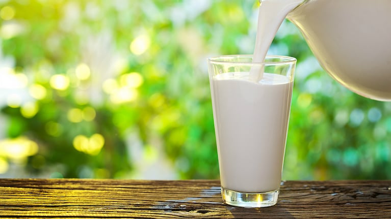 Las diferencias entre el jugo de avena y la leche de vaca 