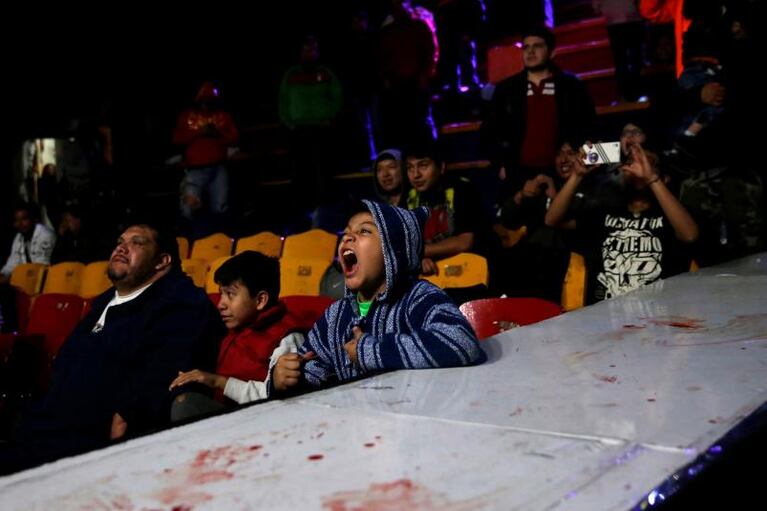 Las fotos de las peleas sangrientas de DTU en México