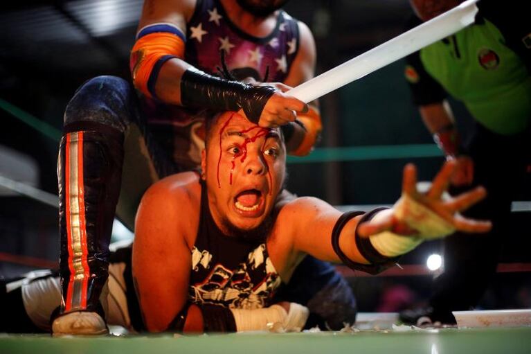 Las fotos de las peleas sangrientas de DTU en México