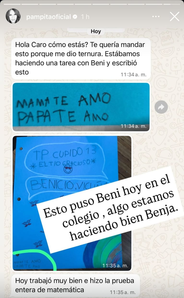 Las historias de Instagram de Pampita para Vicuña.