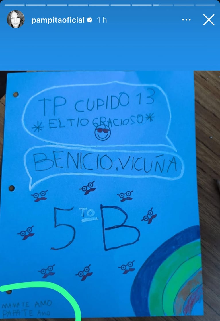 Las historias de Instagram de Pampita para Vicuña.