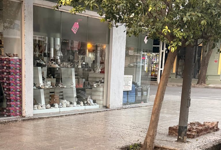 Las hormigas voladoras aparecieron en varios puntos de Córdoba.