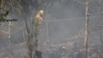 Las llamas no cesan y los bomberos están ahí, luchando por toda una población.