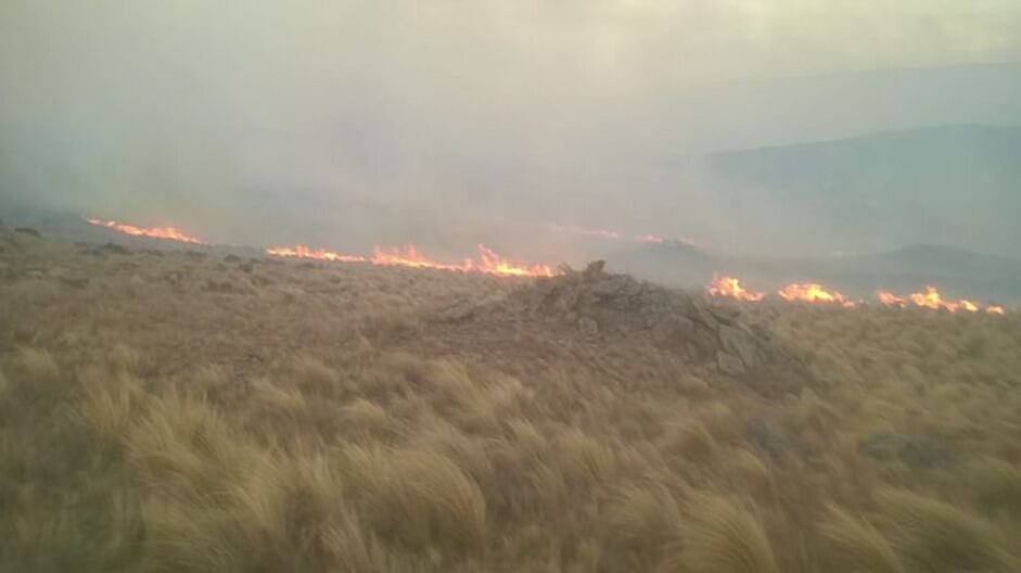 Las llamas se vuelven imparables con el viento.