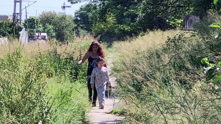 Las malezas están altísimas en el límite entre Los Paraísos y Alta Córdoba.