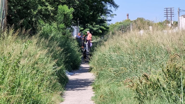 Las malezas están altísimas en el límite entre Los Paraísos y Alta Córdoba.