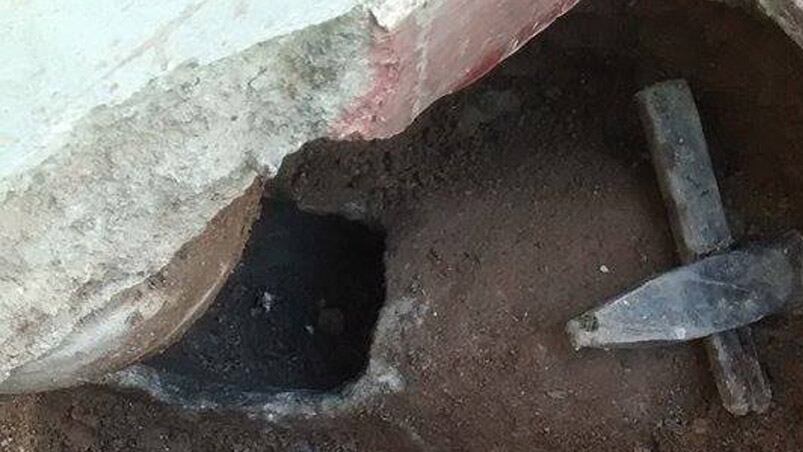 Las mascota quedó atrapada en este pequeño desagüe. Foto: Vale Gómez