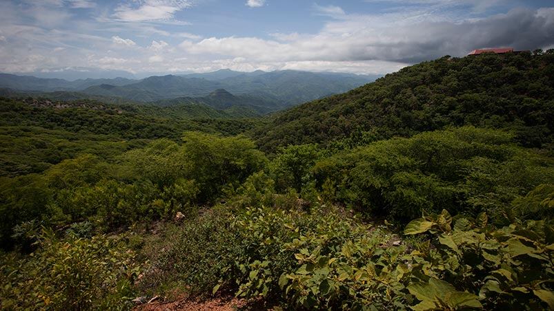 Las montañas de Sinaloa, el escondite perfecto para Guzmán.