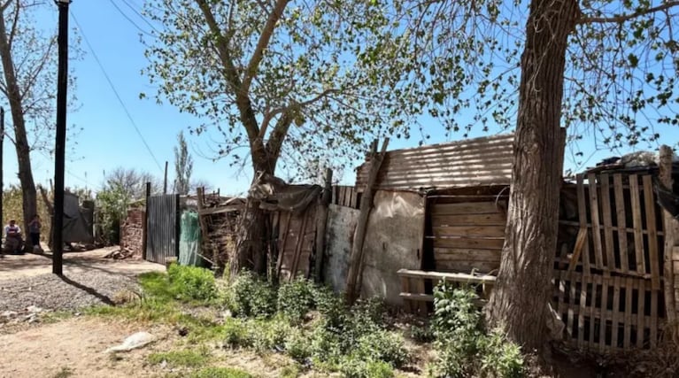 Las nenas de 7 y 10 años murieron tras ser atropelladas por un colectivo.