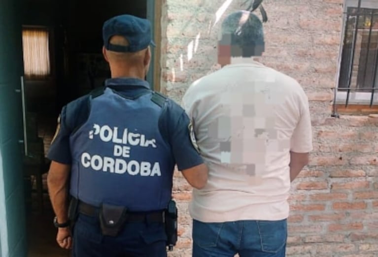 Las plantas de marihuana estaban en una casa de Falda del Carmen.