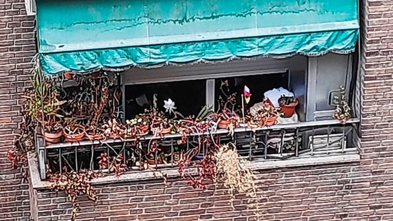 Las plantas murieron junto a sus dueños. 