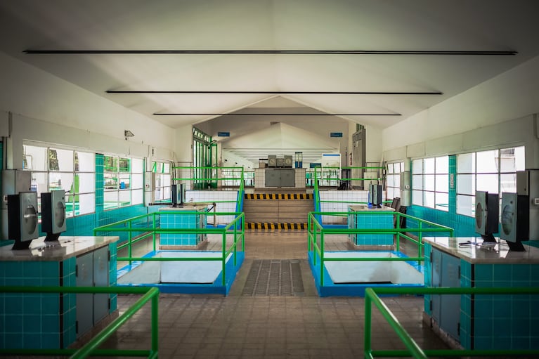 Las plantas potabilizadoras te abren sus puertas: descubrí de dónde viene el agua