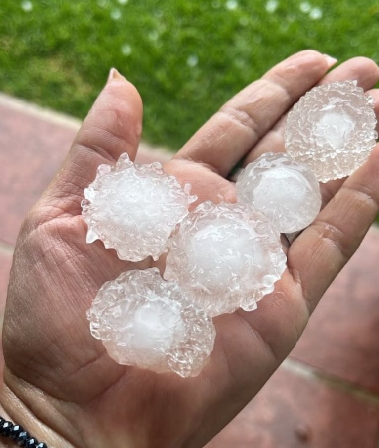 Las rosetas que cayeron en Río Tercero.