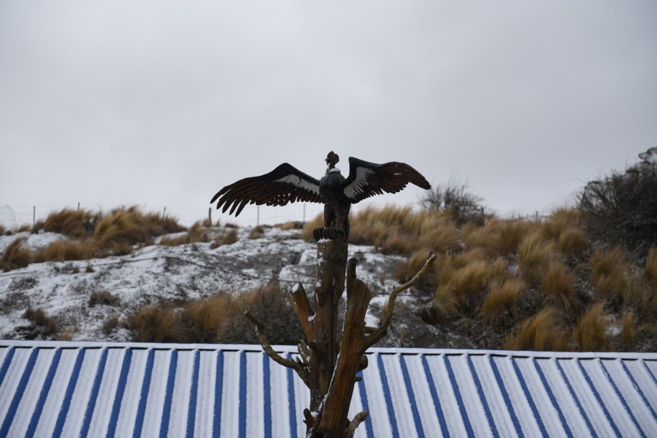 Las sierras cordobesas cubiertas de blanco, un paisaje soñado. Foto: Lucio Casalla / El Doce