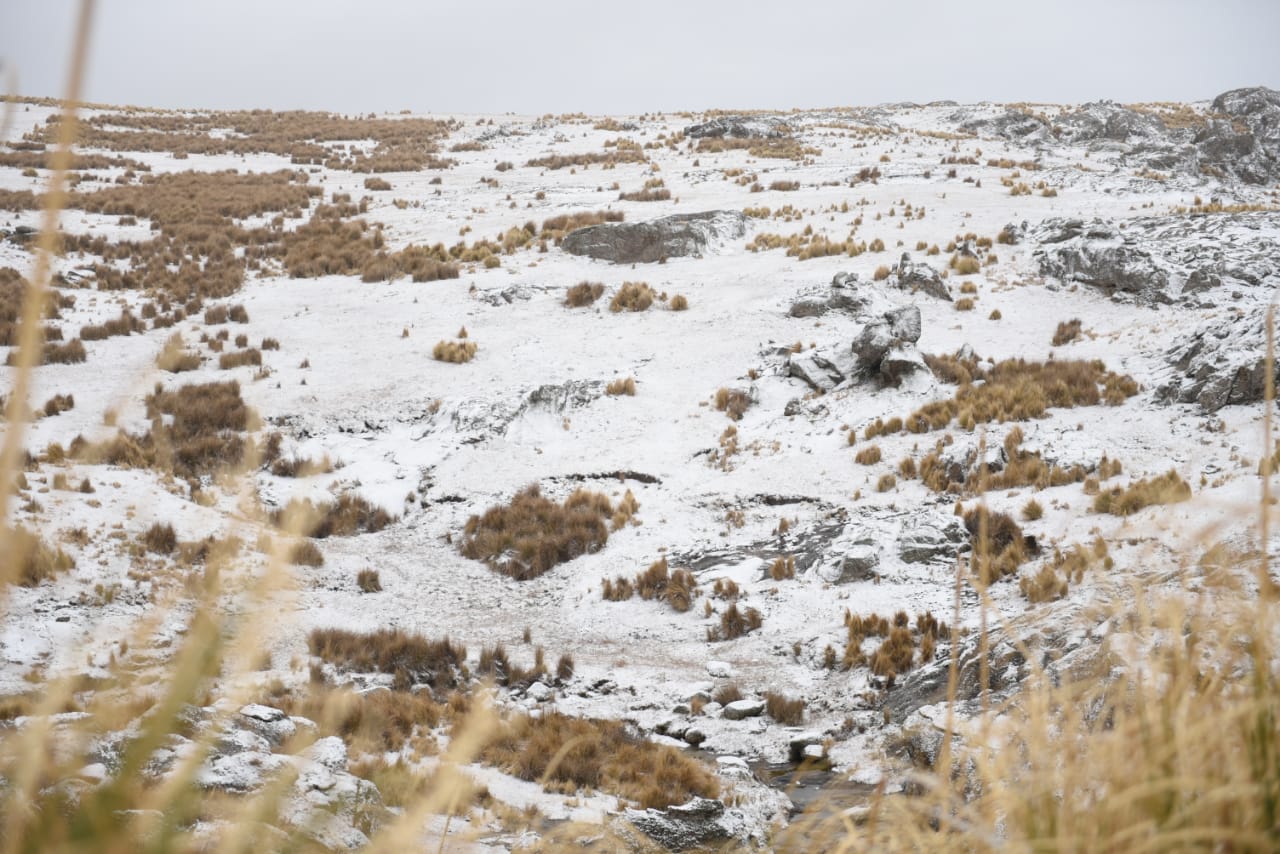 Las sierras cordobesas cubiertas de blanco, un paisaje soñado. Foto: Lucio Casalla / El Doce