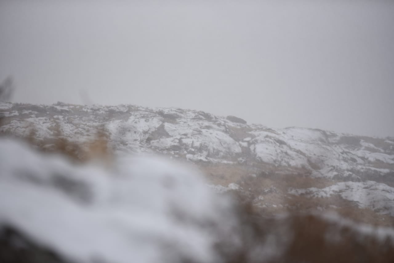 Las sierras cordobesas cubiertas de blanco, un paisaje soñado. Foto: Lucio Casalla / El Doce