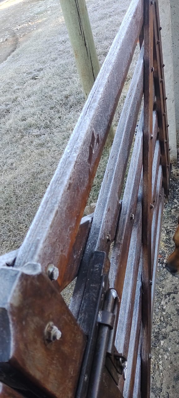 Las temperaturas bajo cero se sintieron fuerte en el día más frío del 2022. Foto enviada por Pablo Berman.