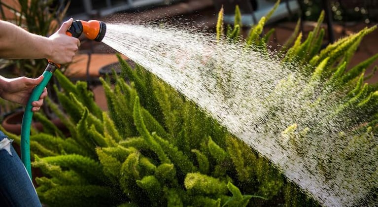 Las tres actividades donde derrochamos más agua