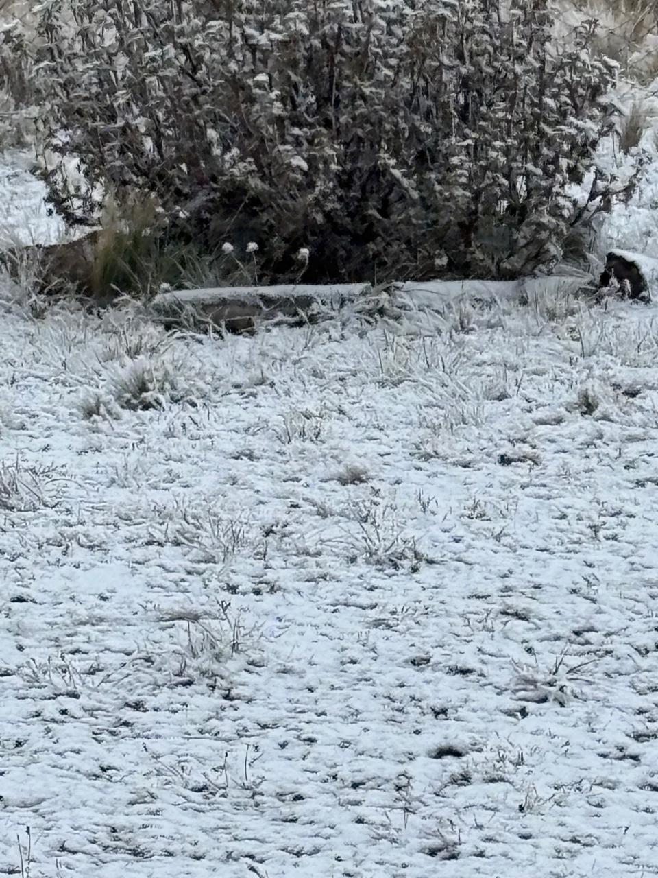 Las zonas altas de la provincia se pintaron de blanco luego del cambio de tiempo.