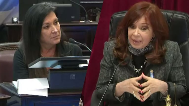 Laura Rodríguez Machado interrumpió la sesión y protagonizó una discusión con CFK.
