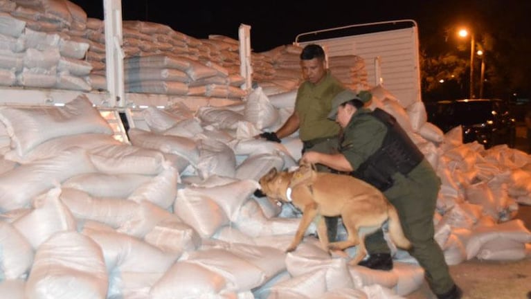 Le encontraron más de 400 kilos de cocaína escondidos entre porotos