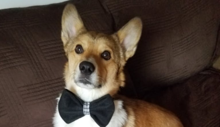 Le hizo creer a su hermano que bautizaba a su mascota y reaccionó: “Ridiculez tremenda”