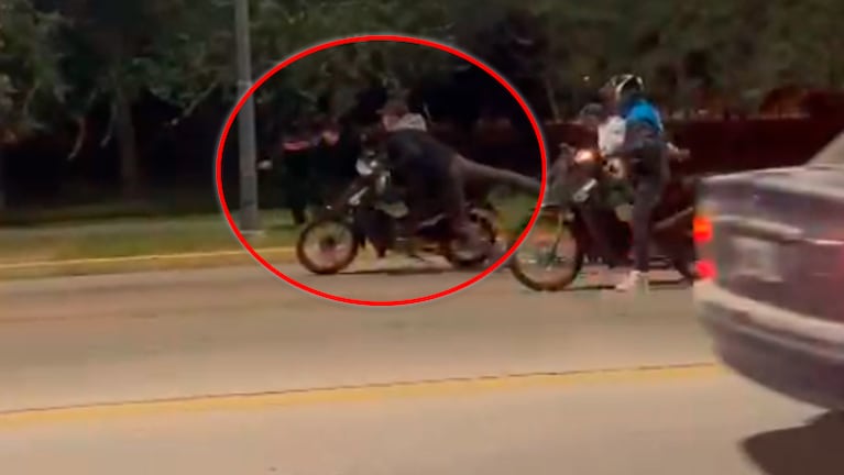Le llevaron la moto en un descuido.