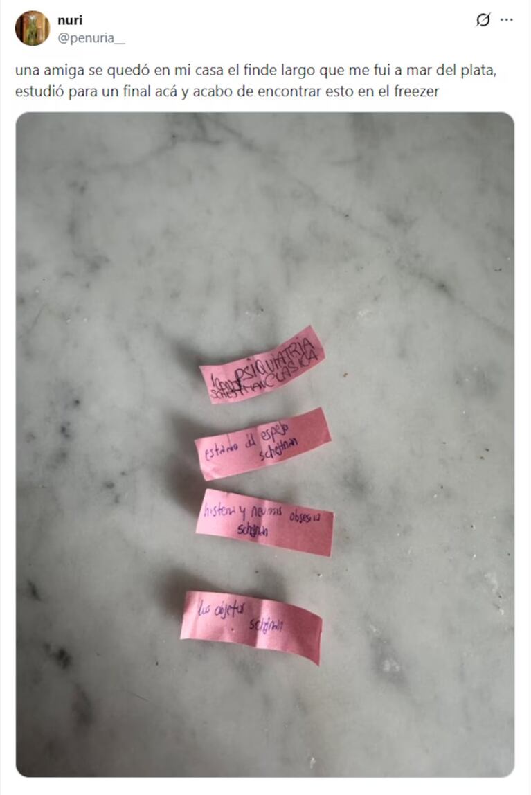 Le prestó la casa a su amiga un fin de semana y cuando regresó halló algo impensado en el freezer