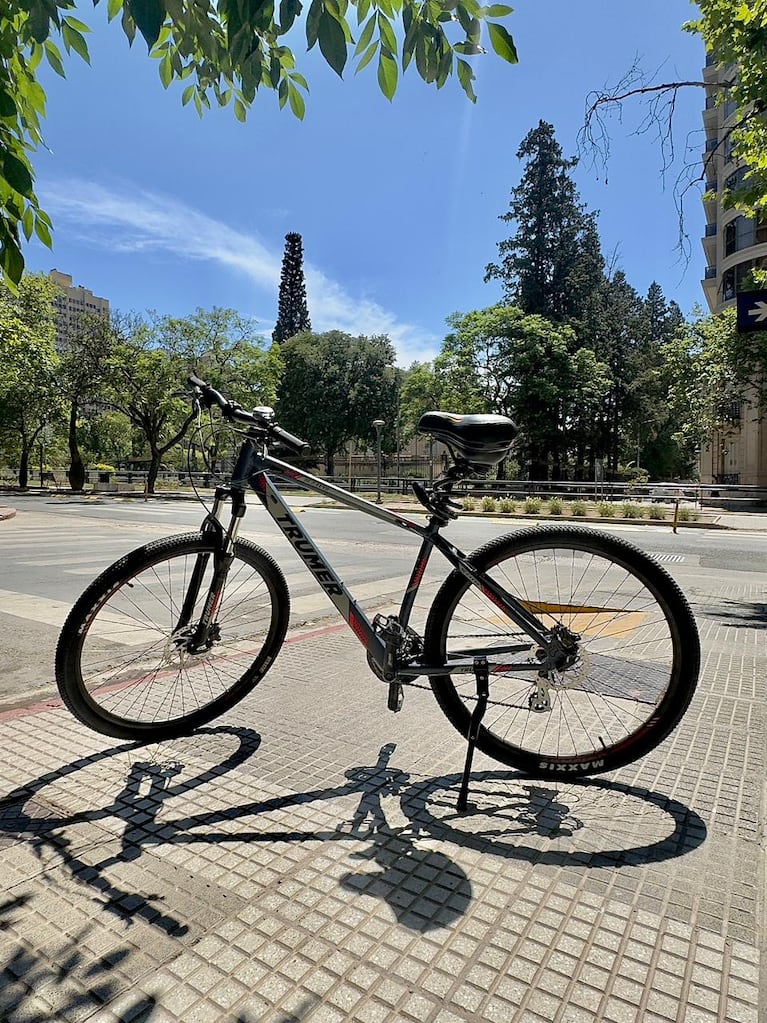 Le robaron la bici que usa para trabajar.