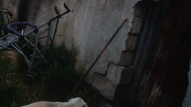 Le robaron y asegura que los ladrones dejaron a su papá internado tras enterarse que hicieron la denuncia